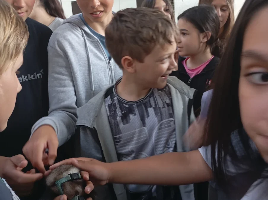 Fehérlófiai és lányai újra az Ökoforradalmon